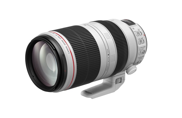 Canon EF 100-400mm/4,5-5,6L IS II USM