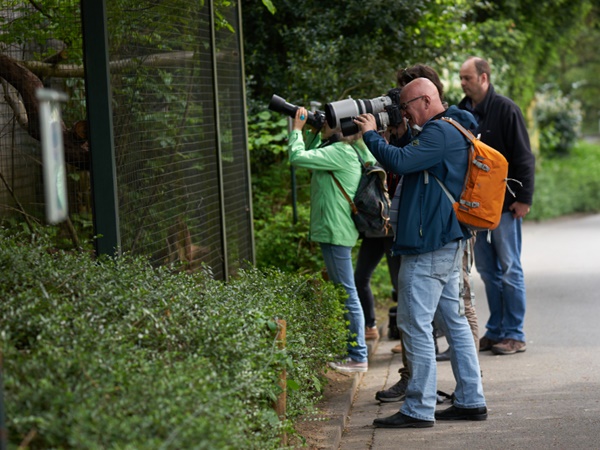 Workshop Canon Fotografie Grundkurs im Wuppertaler Zoo | 28.05.22, 10:30-17:00Uhr